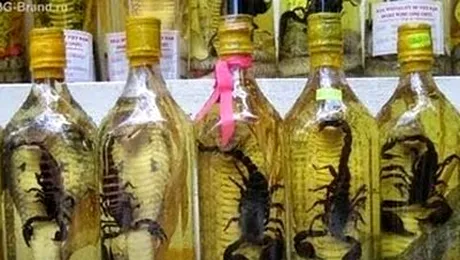 Vinul sarpelui, o bautura pentru cei cu stomacul tare (Poze)