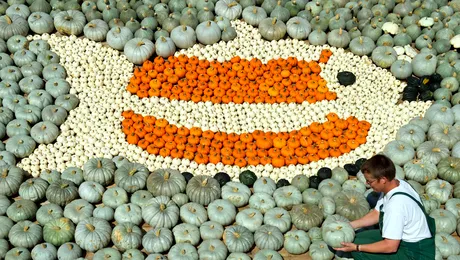 Sculpturi inedite, realizate din dovleci (Poze)