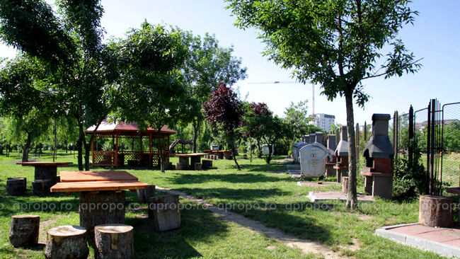 Locul de picnic din parc se intinde pe 5.000 mp si are multa verdeata