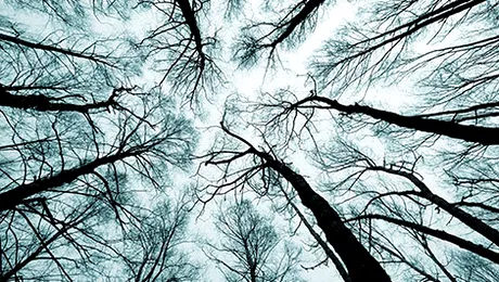 Vremea.Apropotv.ro: Prognoza meteo pentru vineri, 14 noiembrie 2014