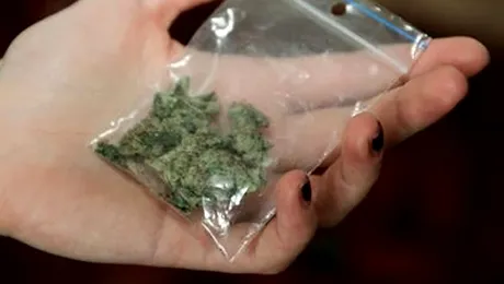 Taximetrist plătit cu marijuana de un client lefter