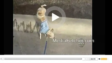 Un caine face pipi ca la cutremur! (Video)