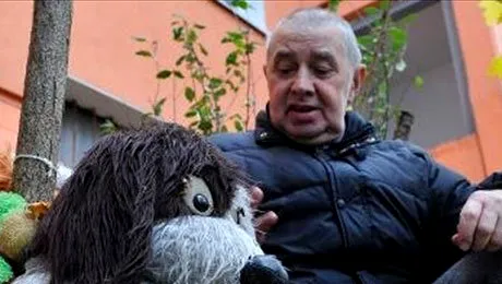 Ați auzit de grădina zoologică pentru animale din pluș?