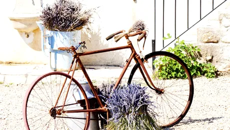Istoria bicicletei. Cine a inventat bicicleta