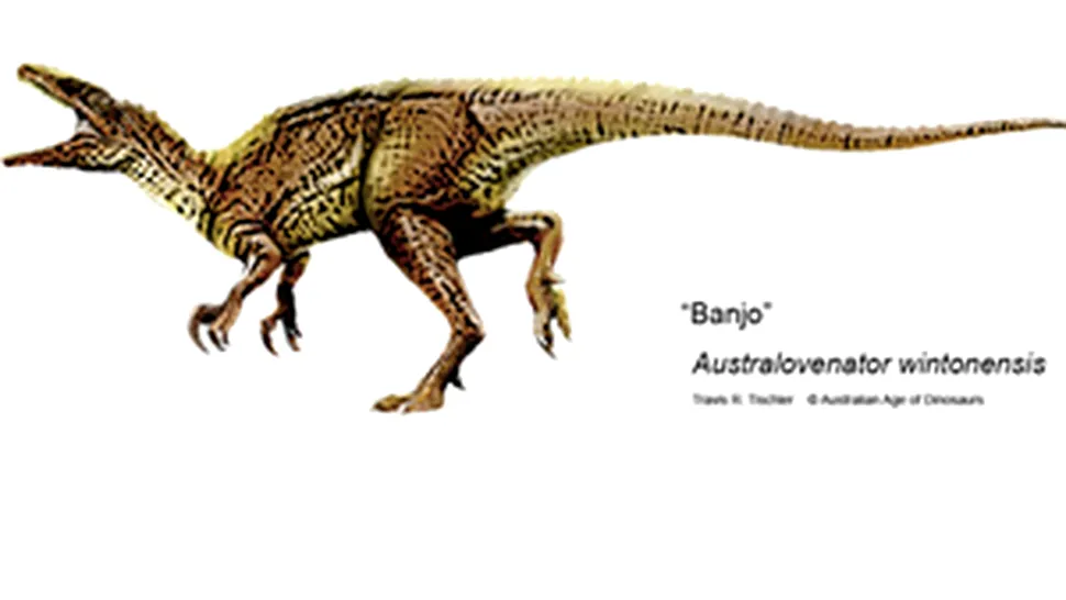 Trei noi specii de dinozauri descoperite in Australia