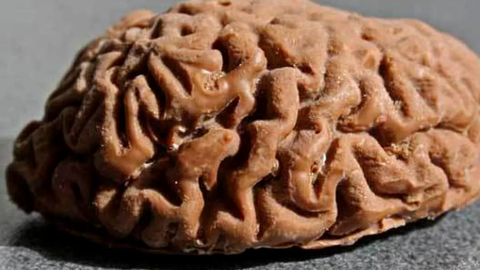 Un britanic și-a mâncat propriul creier (Video)