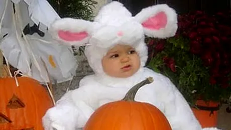 Cele mai haioase costume de Halloween (Poze)