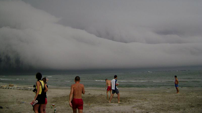 Mamaia a supravietuit caniculei