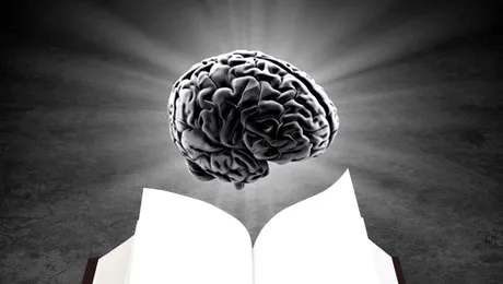 10 lucruri interesante despre creierul uman