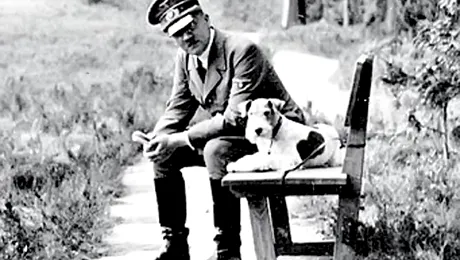 Serviciul de ambulanta britanic vrea sa stie „Cat de cool este Hitler?”