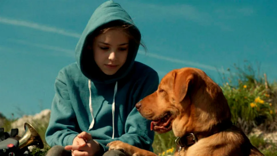 “Oraşul câinilor”, propunerea Ungariei la Oscar 2015, în cinematografele din România 