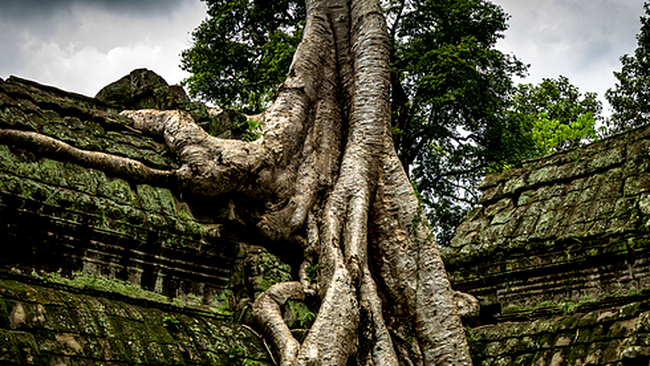 Angkor Wat, Cambodgia