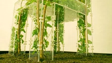 Scaunul care creste odata cu varsta ta (Poze)