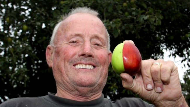 Marul in doua culori