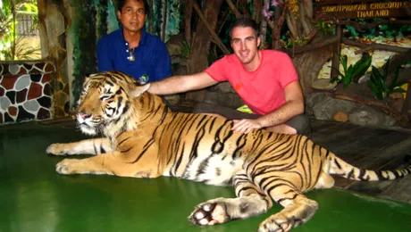 Vedetele au planuri pentru concediu