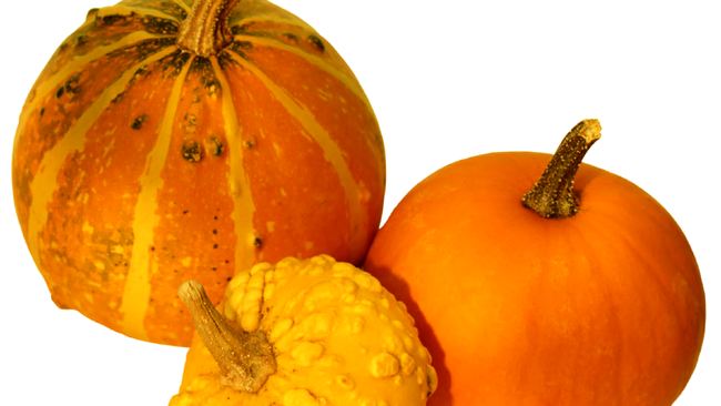 dovleac si tartacuta