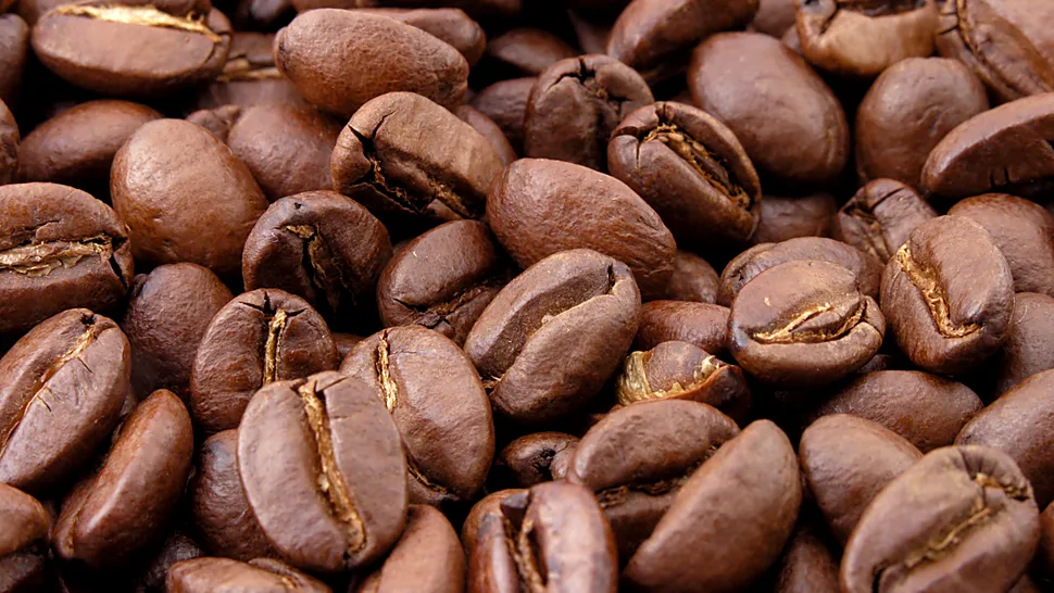 Cafeaua arabica ar putea dispărea!
