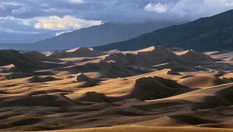 De ce sunt diverse specii de nisip?