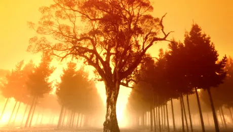 Vremea.Apropo.ro: Prognoza meteo pentru vineri, 4 octombrie 2013