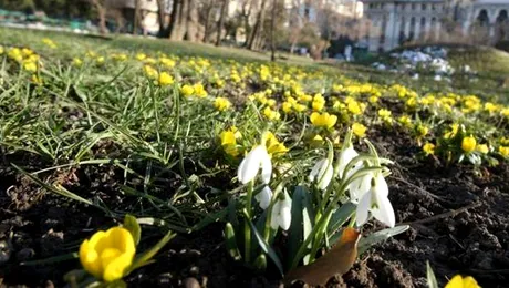 Cum va fi vremea de Paște și pe 1 Mai, dar și la vară!