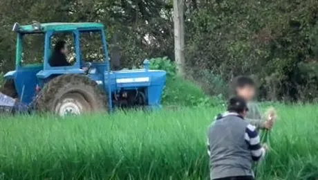 Sapte copii romani, „sclavi” la o ferma din Marea Britanie