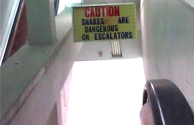 Atentie: Serpii sunt periculosi pe scarile rulante!