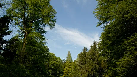 Vremea.Apropotv.ro: Prognoza meteo pentru luni, 29 septembrie 2014