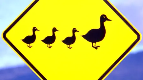 Cele mai ciudate 10 reguli de circulație din lume!