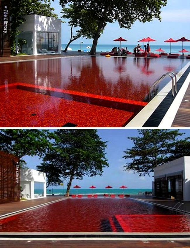 Red Pool - Library hotel, Koh Samui,Thailand