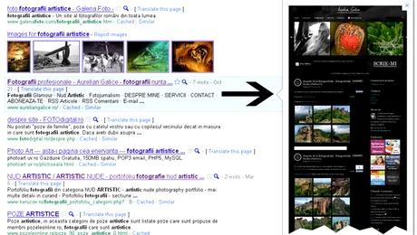 Google Instant Preview