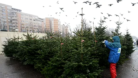 Prognoza meteo pentru sâmbătă, 20 decembrie 2014