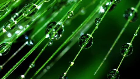 Vremea.Apropo.ro: Prognoza meteo pentru vineri, 16 august 2013