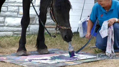 Un cal care pictează a devenit celebru în lume