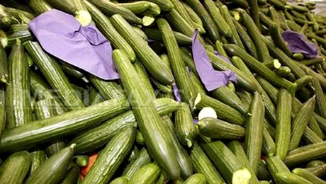 Castravetii din Bucuresti nu sunt infestati cu E.coli