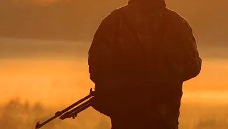 Modelul Nastase a avut priza printre alesi