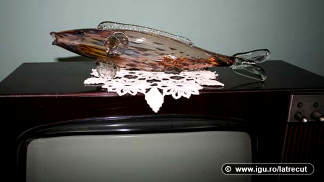 Peste de sticla mileu televizor