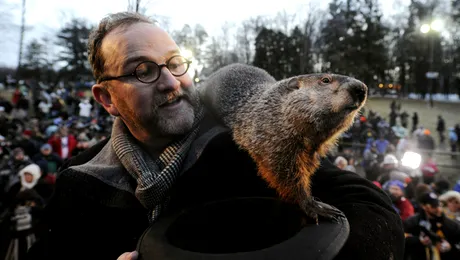 SUA e sub troiene si marmota…