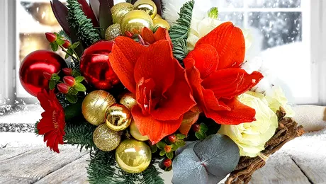 Super aranjamente de Crăciun. Iată ce propun specialiştii – FOTO