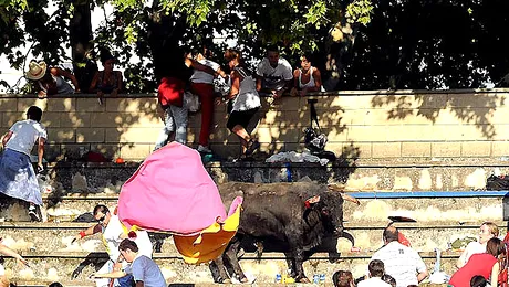 Un taur furios a facut prapad in tribune, la o corida din Spania! (Poze & Video)