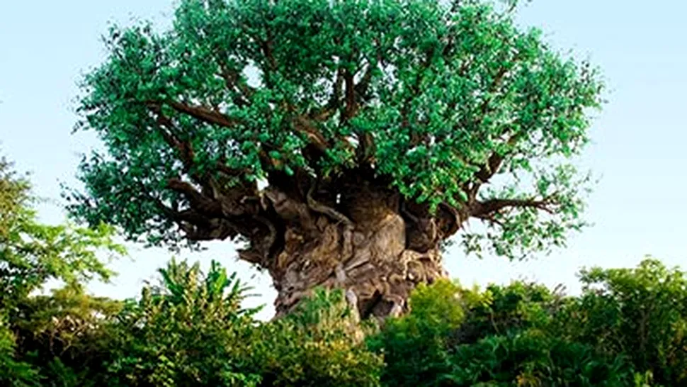Copacul vietii, cea mai mare atractie a Parcului Disney (Poze)