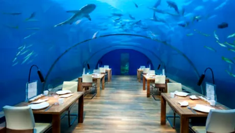 7 restaurante sub apă din jurul lumii