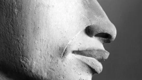 5 lucruri interesante despre nas