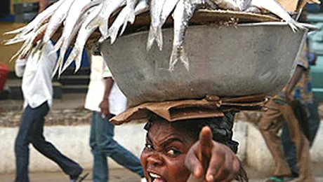 Poezii „care este”, in coada de peste