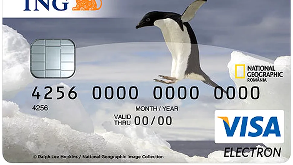 (P) Un aradean si-a bagat pinguinul in bancomat