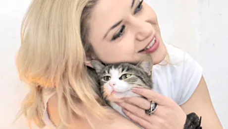 Miau! Răsfăţatele vedetelor