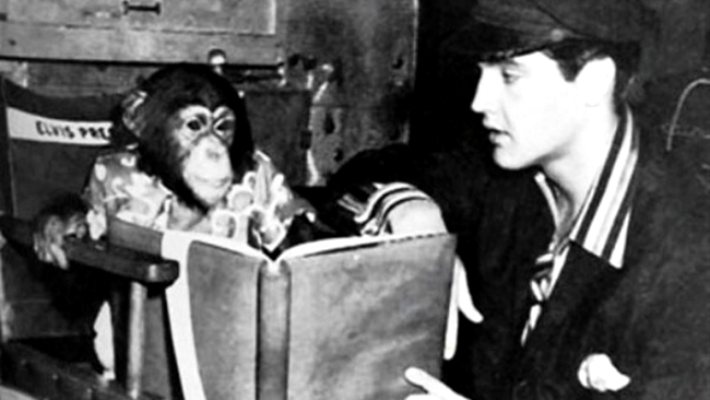 A crescut un cimpanzeu precum fiul său