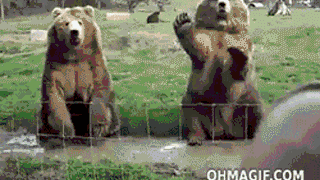 prieteni neașteptați