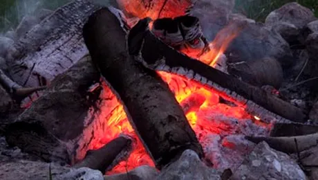 Evolutia omului a inceput odata cu gatitul!