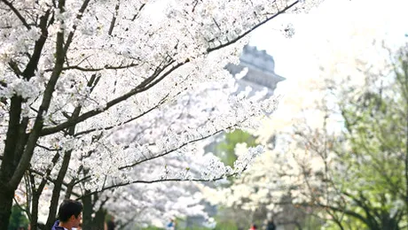 Cum va fi vremea până pe 5 aprilie 2015