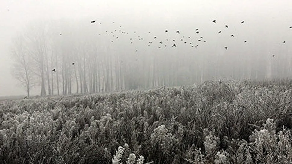 Vremea Apropo.ro: Saptamana a debutat cu ceata, urmeaza ploile